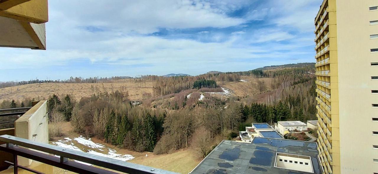 Panoramic Apartments Hohegeiß エクステリア 写真