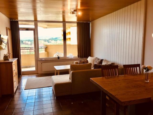 Panoramic Apartments Hohegeiß エクステリア 写真