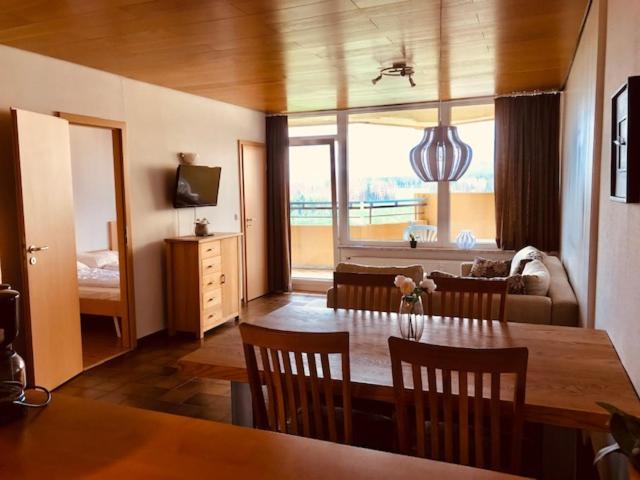 Panoramic Apartments Hohegeiß エクステリア 写真