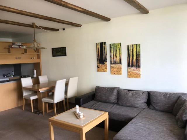 Panoramic Apartments Hohegeiß エクステリア 写真