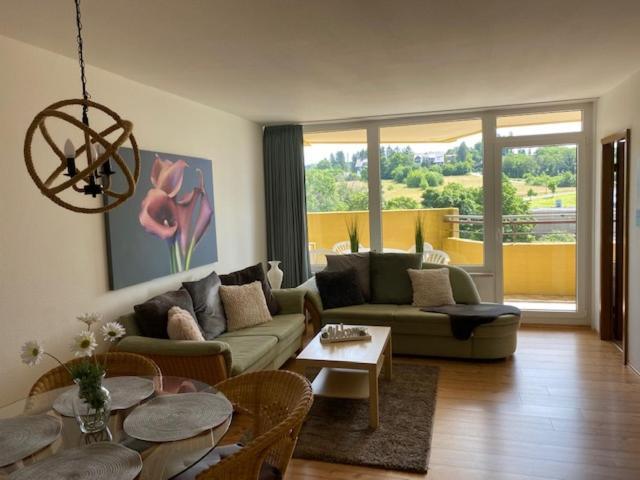 Panoramic Apartments Hohegeiß エクステリア 写真