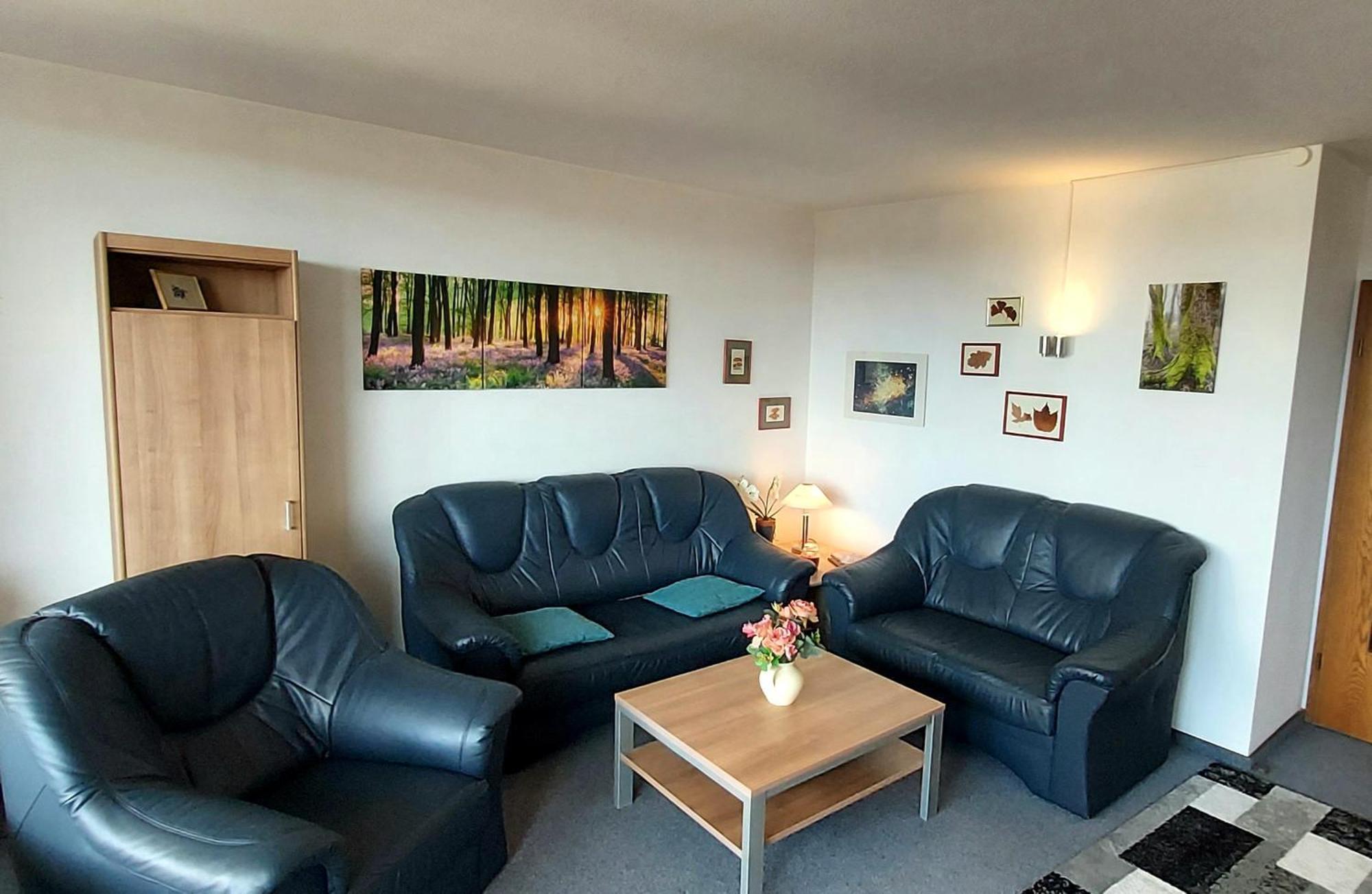 Panoramic Apartments Hohegeiß 部屋 写真