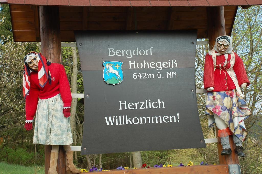 Panoramic Apartments Hohegeiß エクステリア 写真