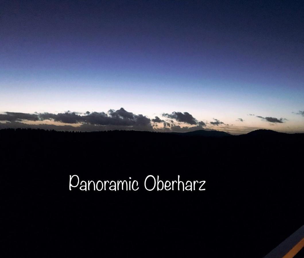 Panoramic Apartments Hohegeiß エクステリア 写真